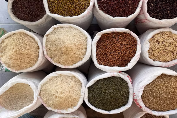 Transporte de Grãos, Arroz e Soja