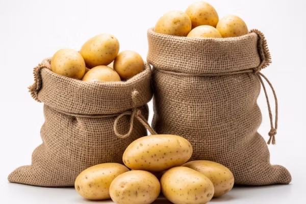 Transporte de Raízes e Batata
